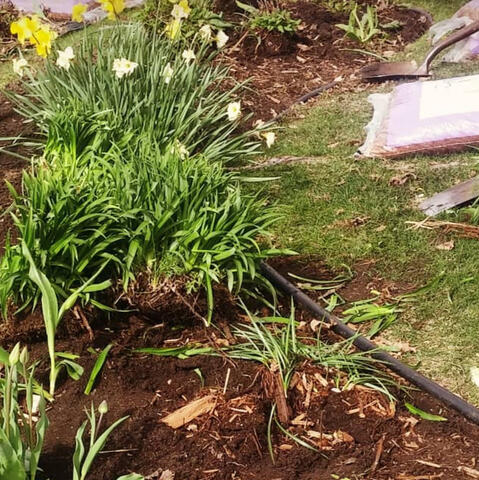 Garden Renovation Garden Renovation